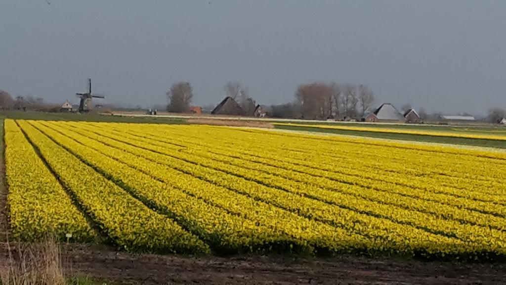 维德霍富民宿 Sint Maartensbrug 外观 照片