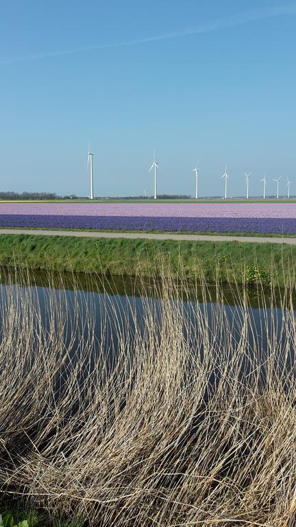 维德霍富民宿 Sint Maartensbrug 外观 照片